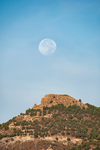 peak load optimization timeline view on desktop monitor